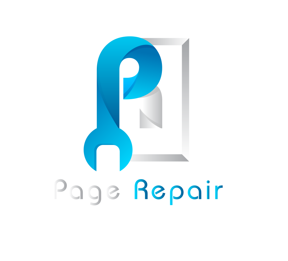 Page-Repair-Network